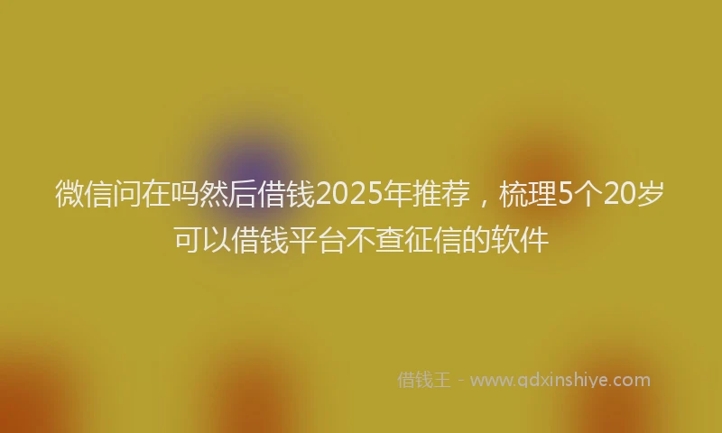 微信问在吗然后借钱2025年推荐，梳理5个20岁可以借钱平台不查征信的软件