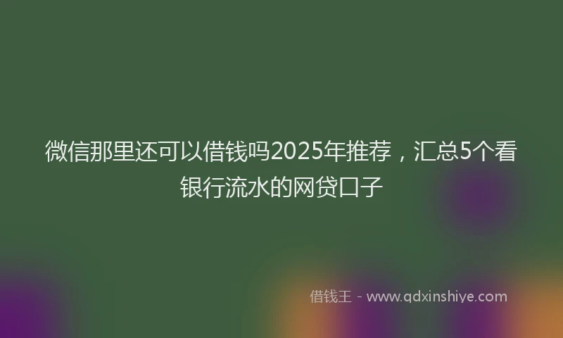 微信那里还可以借钱吗2025年推荐，汇总5个看银行流水的网贷口子