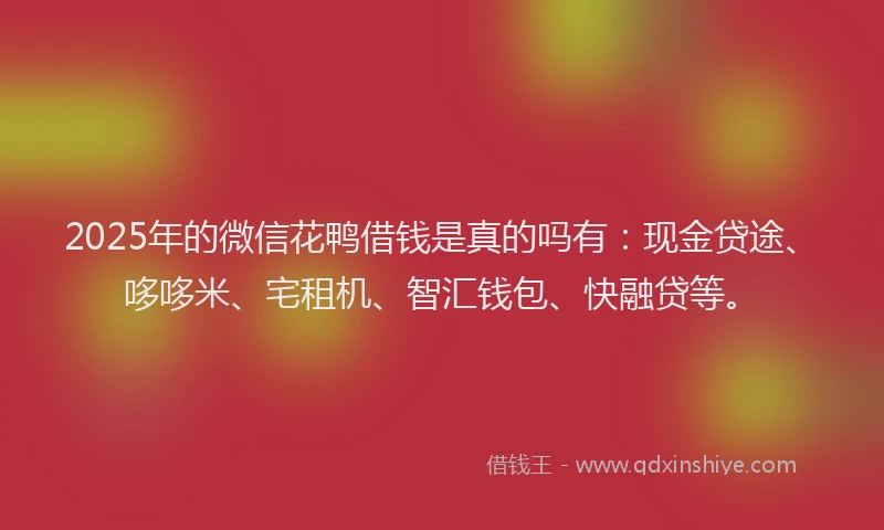 2025年的微信花鸭借钱是真的吗有：现金贷途、哆哆米、宅租机、智汇钱包、快融贷等。