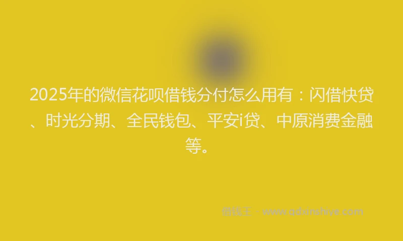 2025年的微信花呗借钱分付怎么用有：闪借快贷、时光分期、全民钱包、平安i贷、中原消费金融等。