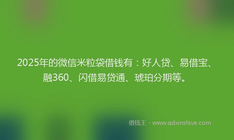 2025年的微信米粒袋借钱有：好人贷、易借宝、融360、闪借易贷通、琥珀分期等。