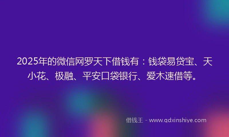 2025年的微信网罗天下借钱有：钱袋易贷宝、天小花、极融、平安口袋银行、爱木速借等。