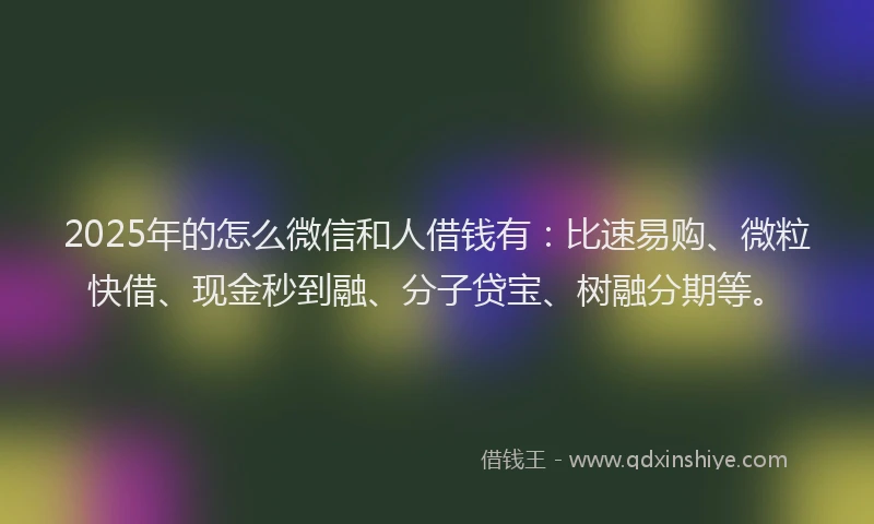 2025年的怎么微信和人借钱有：比速易购、微粒快借、现金秒到融、分子贷宝、树融分期等。