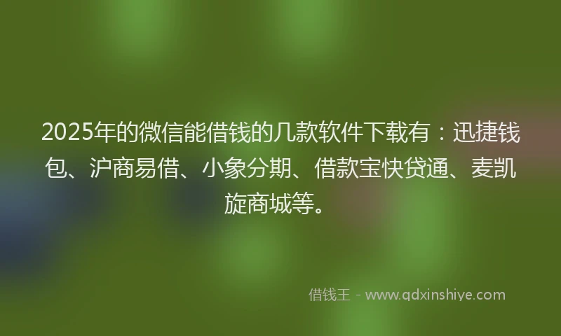 2025年的微信能借钱的几款软件下载有：迅捷钱包、沪商易借、小象分期、借款宝快贷通、麦凯旋商城等。