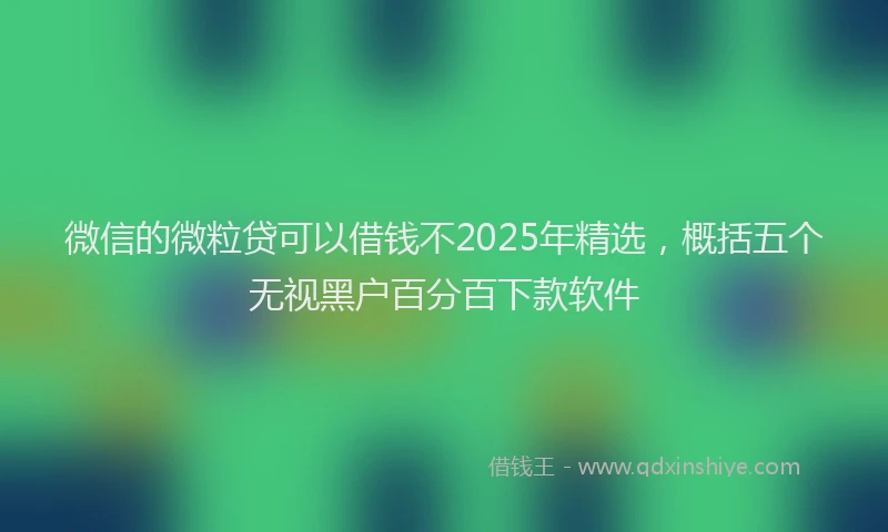 微信的微粒贷可以借钱不2025年精选，概括五个无视黑户百分百下款软件
