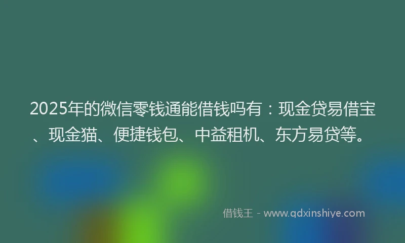 2025年的微信零钱通能借钱吗有：现金贷易借宝、现金猫、便捷钱包、中益租机、东方易贷等。