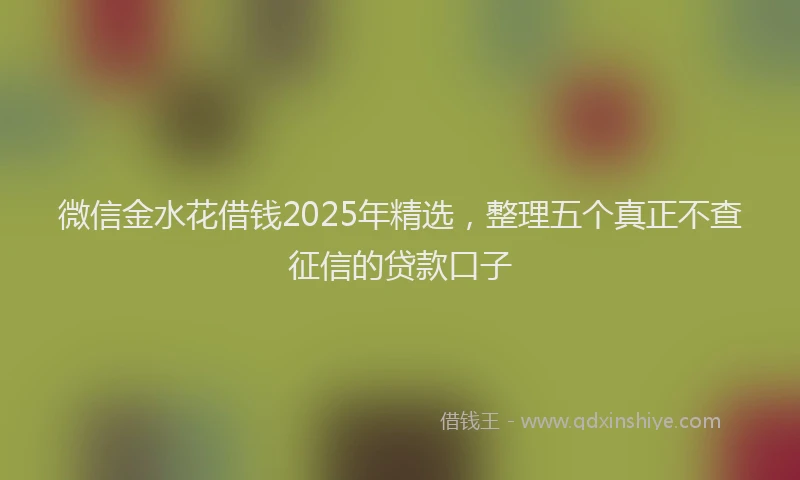 微信金水花借钱2025年精选，整理五个真正不查征信的贷款口子