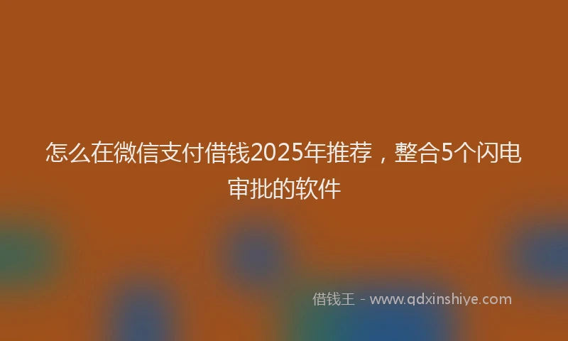 怎么在微信支付借钱2025年推荐，整合5个闪电审批的软件