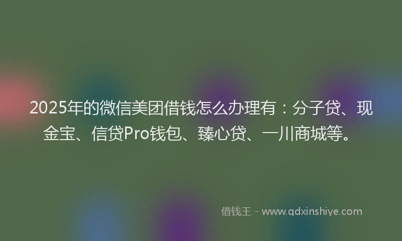 2025年的微信美团借钱怎么办理有：分子贷、现金宝、信贷Pro钱包、臻心贷、一川商城等。