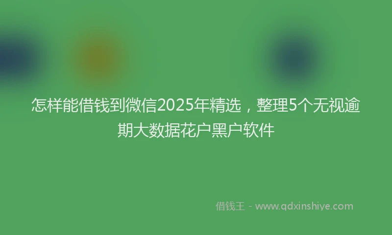 怎样能借钱到微信2025年精选，整理5个无视逾期大数据花户黑户软件