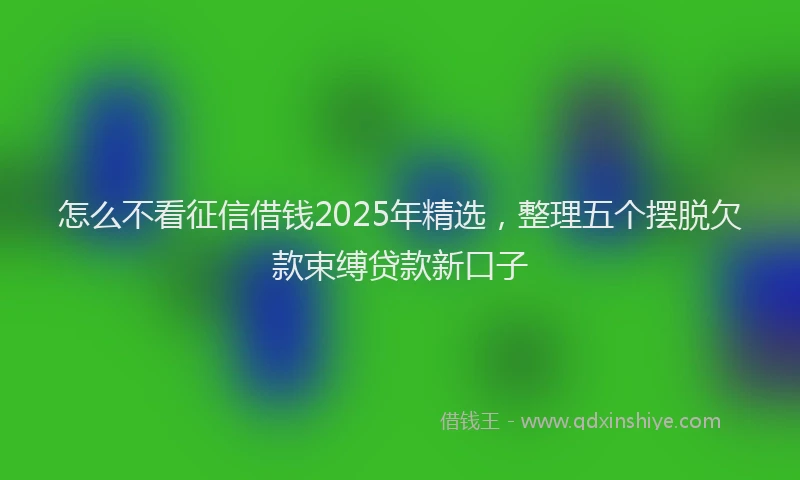 怎么不看征信借钱2025年精选，整理五个摆脱欠款束缚贷款新口子