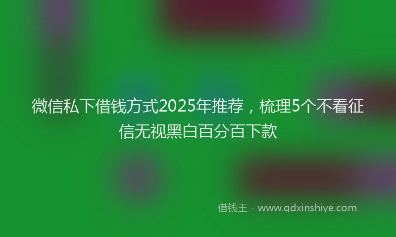 微信私下借钱方式2025年推荐，梳理5个不看征信无视黑白百分百下款