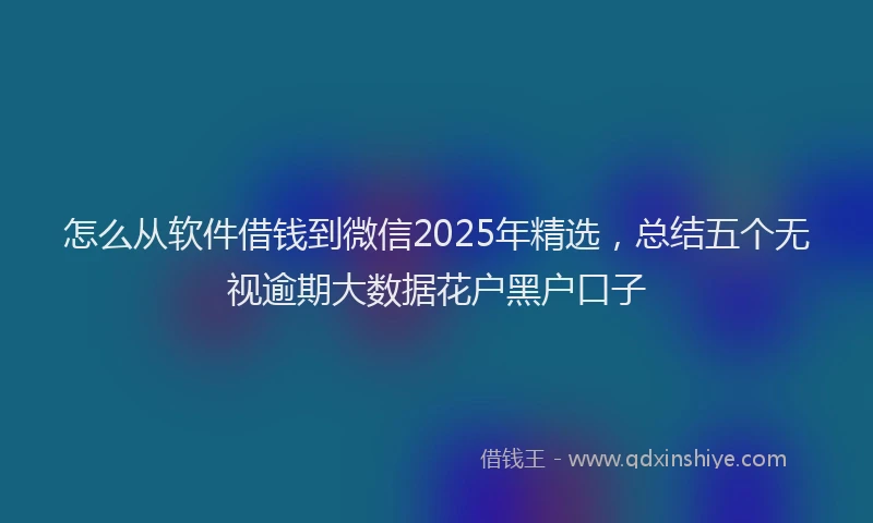 怎么从软件借钱到微信2025年精选，总结五个无视逾期大数据花户黑户口子