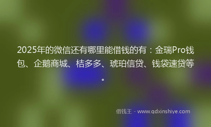 2025年的微信还有哪里能借钱的有：金瑞Pro钱包、企鹅商城、桔多多、琥珀信贷、钱袋速贷等。