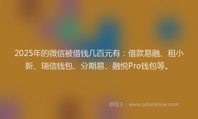 2025年的微信被借钱几百元有：借款易融、租小新、瑞信钱包、分期易、融悦Pro钱包等。