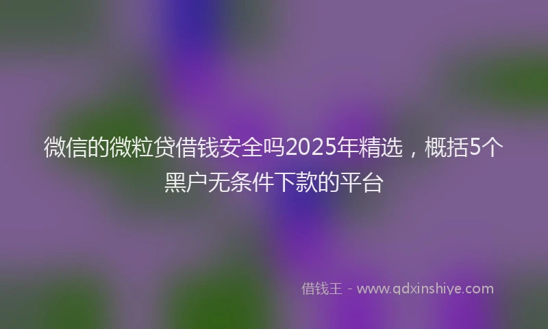 微信的微粒贷借钱安全吗2025年精选，概括5个黑户无条件下款的平台