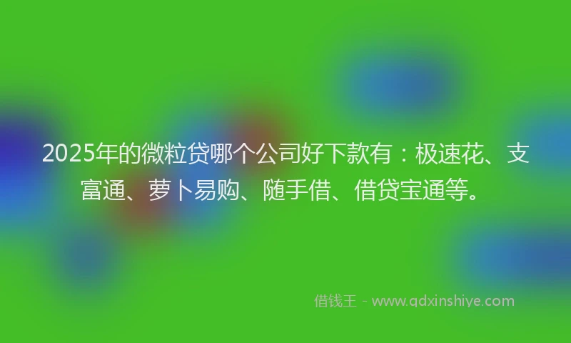 2025年的微粒贷哪个公司好下款有：极速花、支富通、萝卜易购、随手借、借贷宝通等。
