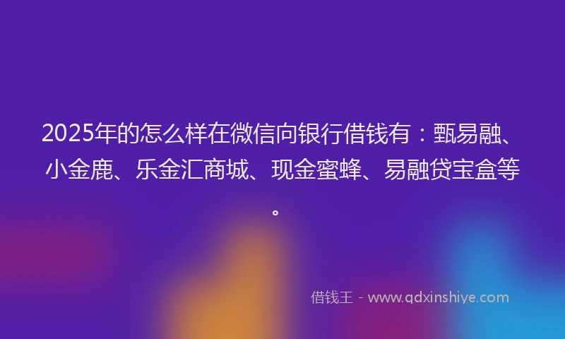 2025年的怎么样在微信向银行借钱有：甄易融、小金鹿、乐金汇商城、现金蜜蜂、易融贷宝盒等。