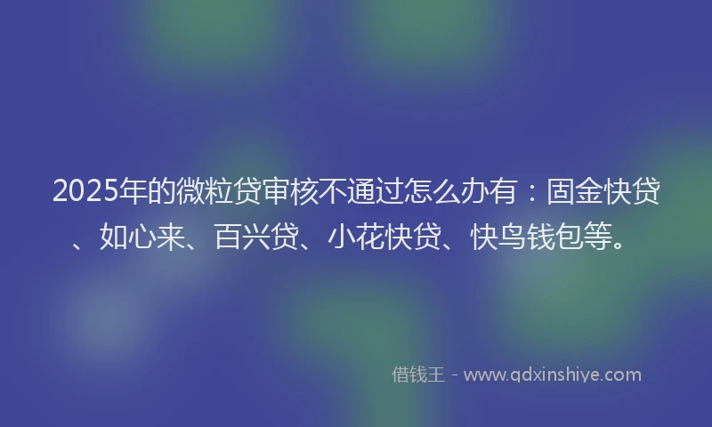 2025年的微粒贷审核不通过怎么办有：固金快贷、如心来、百兴贷、小花快贷、快鸟钱包等。