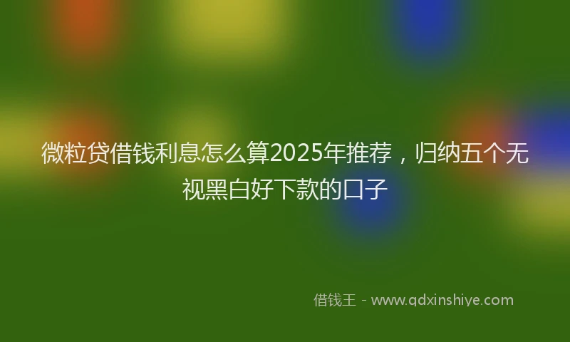 微粒贷借钱利息怎么算2025年推荐，归纳五个无视黑白好下款的口子
