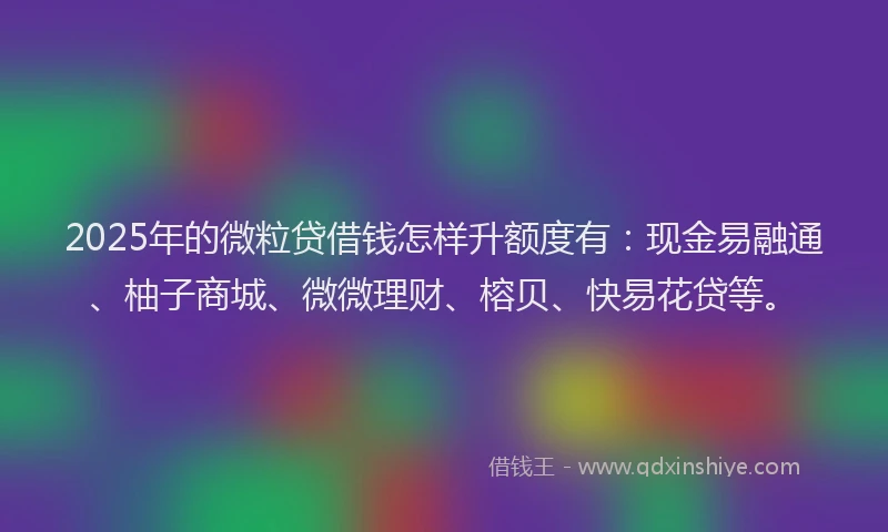 2025年的微粒贷借钱怎样升额度有：现金易融通、柚子商城、微微理财、榕贝、快易花贷等。