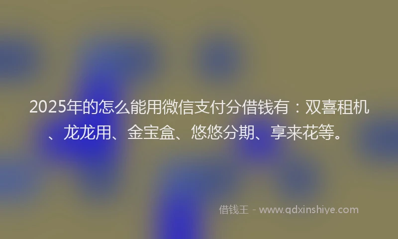 2025年的怎么能用微信支付分借钱有：双喜租机、龙龙用、金宝盒、悠悠分期、享来花等。