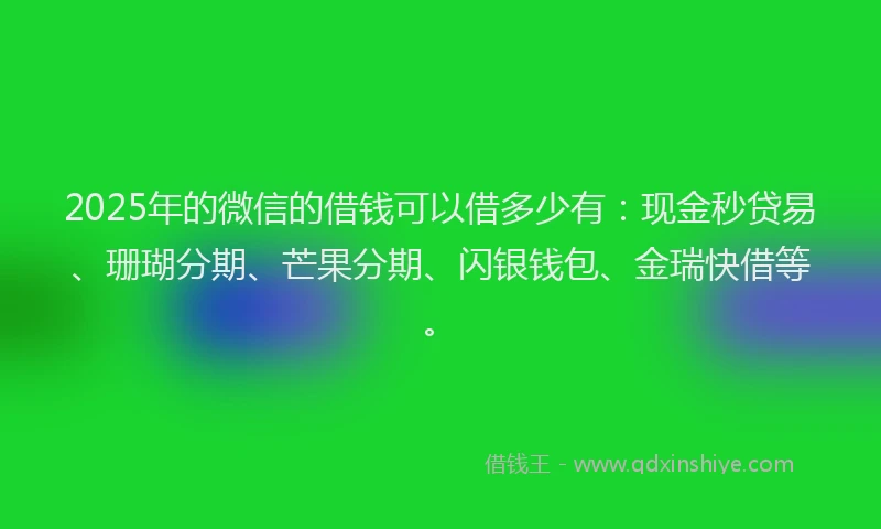 2025年的微信的借钱可以借多少有：现金秒贷易、珊瑚分期、芒果分期、闪银钱包、金瑞快借等。