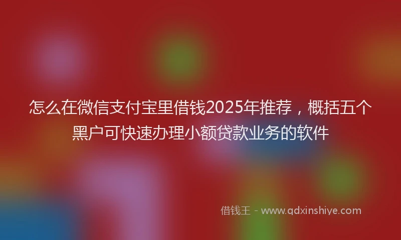 怎么在微信支付宝里借钱2025年推荐，概括五个黑户可快速办理小额贷款业务的软件