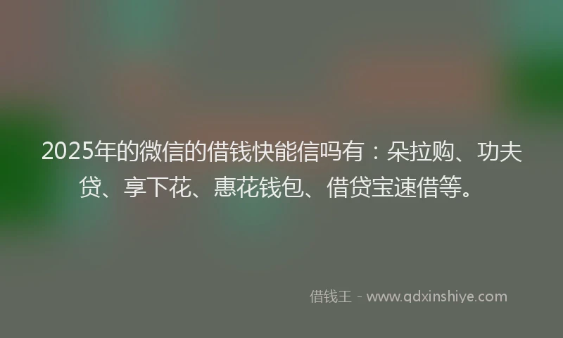 2025年的微信的借钱快能信吗有：朵拉购、功夫贷、享下花、惠花钱包、借贷宝速借等。