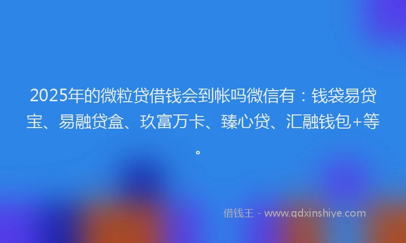 2025年的微粒贷借钱会到帐吗微信有：钱袋易贷宝、易融贷盒、玖富万卡、臻心贷、汇融钱包+等。