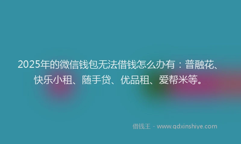 2025年的微信钱包无法借钱怎么办有：普融花、快乐小租、随手贷、优品租、爱帮米等。