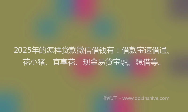 2025年的怎样贷款微信借钱有：借款宝速借通、花小猪、宜享花、现金易贷宝融、想借等。