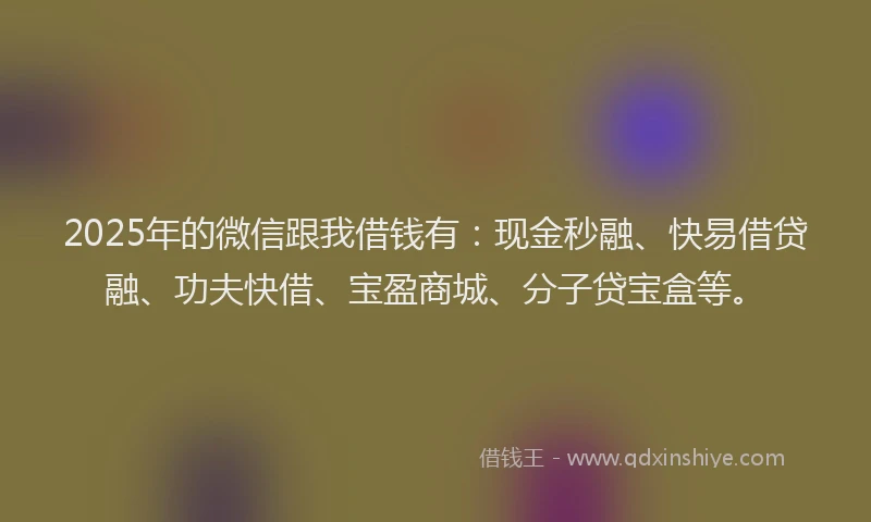 2025年的微信跟我借钱有：现金秒融、快易借贷融、功夫快借、宝盈商城、分子贷宝盒等。