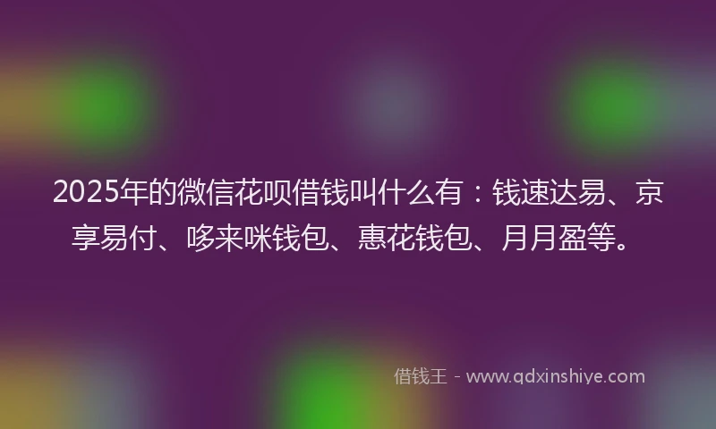 2025年的微信花呗借钱叫什么有：钱速达易、京享易付、哆来咪钱包、惠花钱包、月月盈等。
