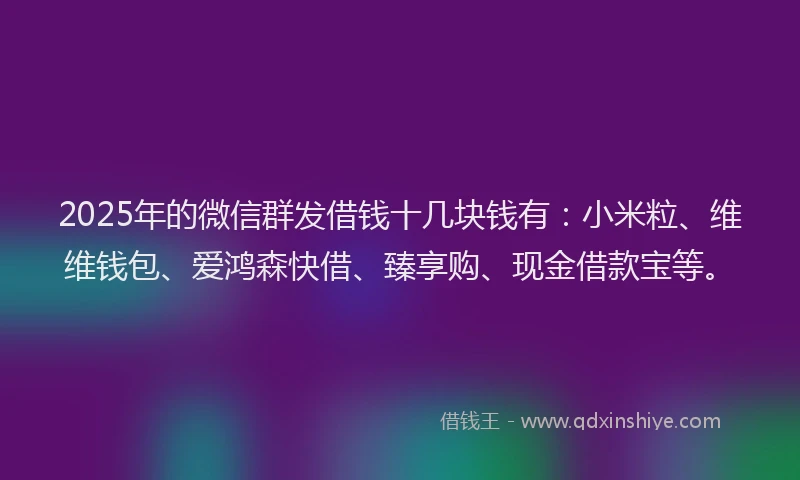 2025年的微信群发借钱十几块钱有：小米粒、维维钱包、爱鸿森快借、臻享购、现金借款宝等。