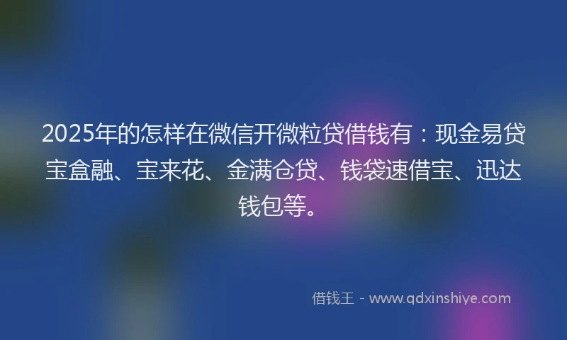 2025年的怎样在微信开微粒贷借钱有：现金易贷宝盒融、宝来花、金满仓贷、钱袋速借宝、迅达钱包等。