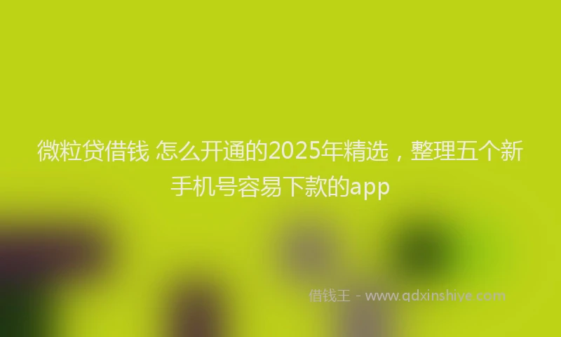 微粒贷借钱 怎么开通的2025年精选，整理五个新手机号容易下款的app
