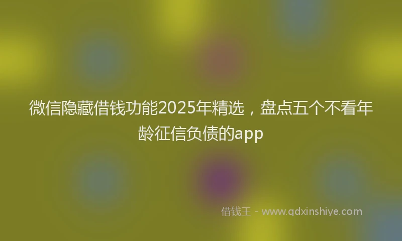 微信隐藏借钱功能2025年精选，盘点五个不看年龄征信负债的app