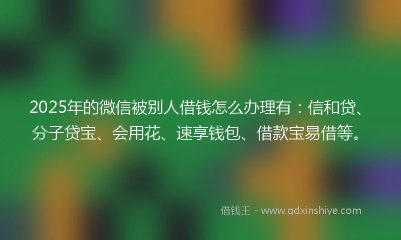 2025年的微信被别人借钱怎么办理有：信和贷、分子贷宝、会用花、速享钱包、借款宝易借等。