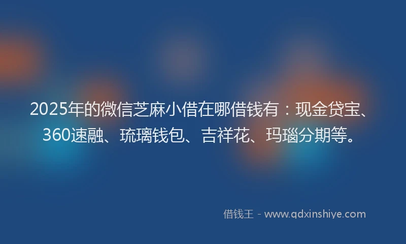 2025年的微信芝麻小借在哪借钱有：现金贷宝、360速融、琉璃钱包、吉祥花、玛瑙分期等。