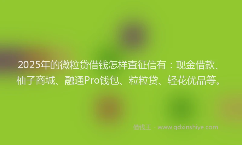 2025年的微粒贷借钱怎样查征信有：现金借款、柚子商城、融通Pro钱包、粒粒贷、轻花优品等。