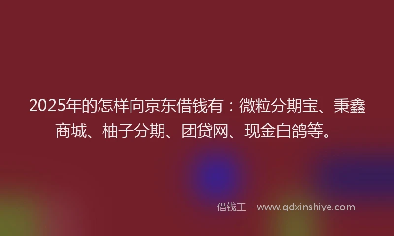 2025年的怎样向京东借钱有：微粒分期宝、秉鑫商城、柚子分期、团贷网、现金白鸽等。