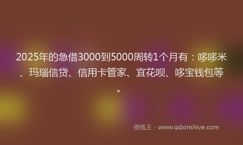2025年的急借3000到5000周转1个月有：哆哆米、玛瑙信贷、信用卡管家、宜花呗、哆宝钱包等。