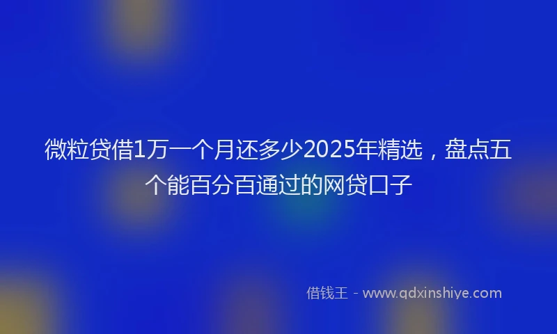 微粒贷借1万一个月还多少2025年精选，盘点五个能百分百通过的网贷口子
