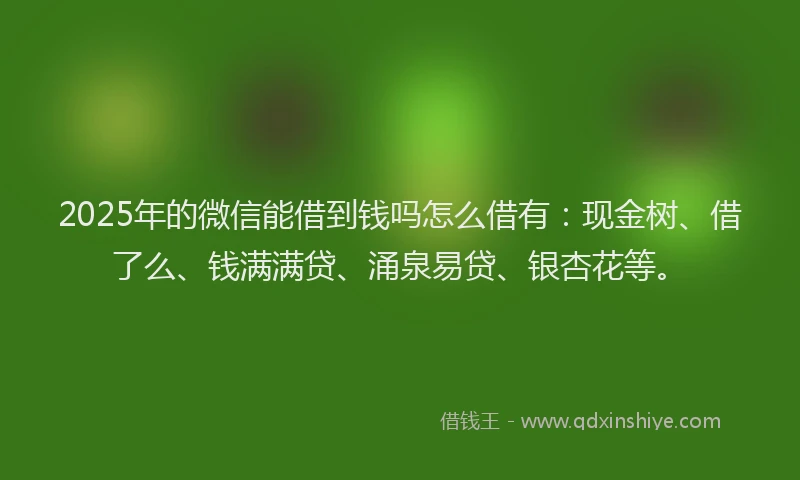 2025年的微信能借到钱吗怎么借有：现金树、借了么、钱满满贷、涌泉易贷、银杏花等。