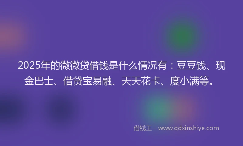 2025年的微微贷借钱是什么情况有：豆豆钱、现金巴士、借贷宝易融、天天花卡、度小满等。