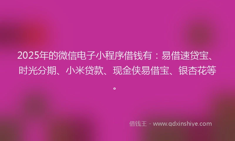 2025年的微信电子小程序借钱有：易借速贷宝、时光分期、小米贷款、现金侠易借宝、银杏花等。