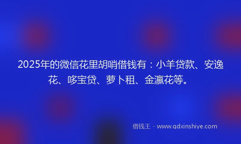 2025年的微信花里胡哨借钱有：小羊贷款、安逸花、哆宝贷、萝卜租、金瀛花等。
