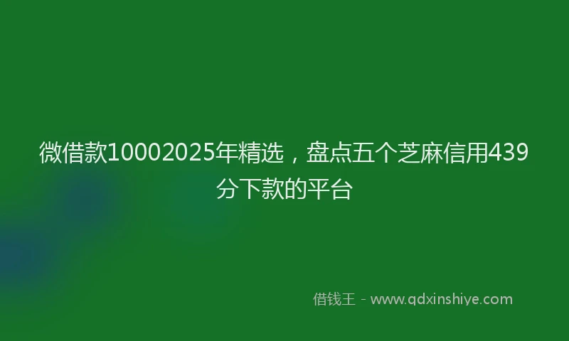 微借款10002025年精选，盘点五个芝麻信用439分下款的平台