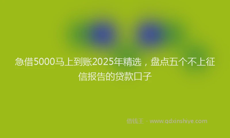 急借5000马上到账2025年精选，盘点五个不上征信报告的贷款口子